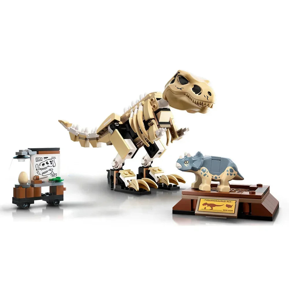Dinosaur Fossil Exhibition Building Blocks