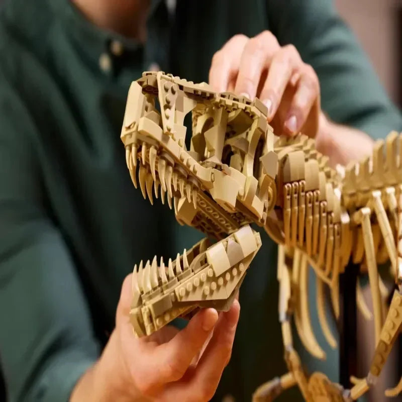 Tyrannosaurus Rex Fossil Building Blocks
