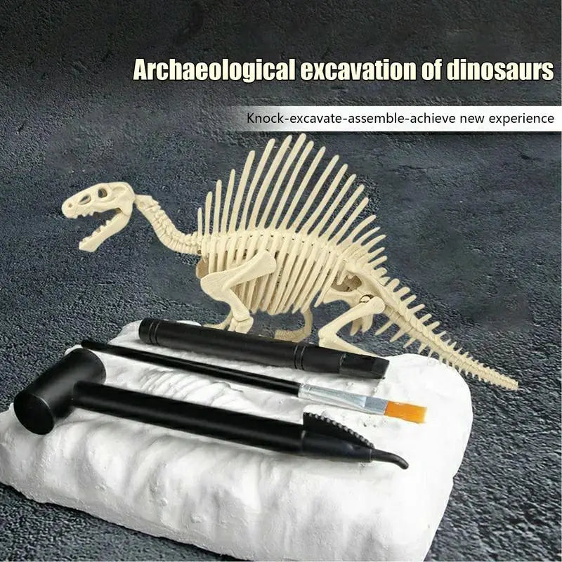 Dinosaur Fossil Digging Kit