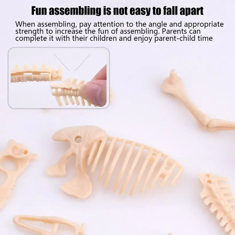Dinosaur Fossil Digging Kit