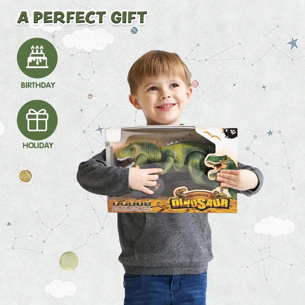 Remote Control T-Rex Toy