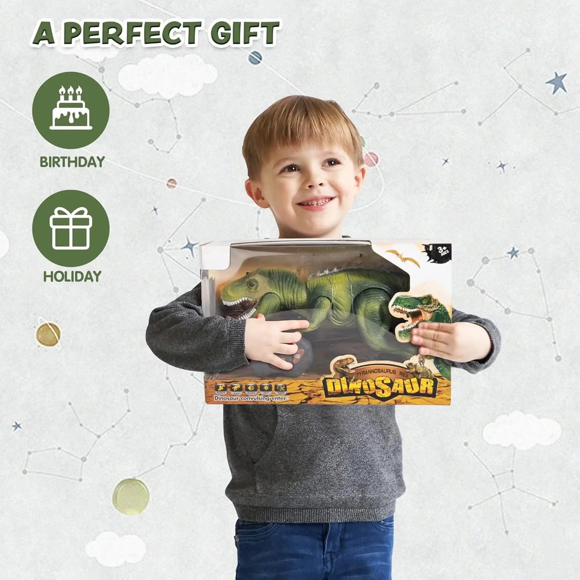 Remote Control T-Rex Toy